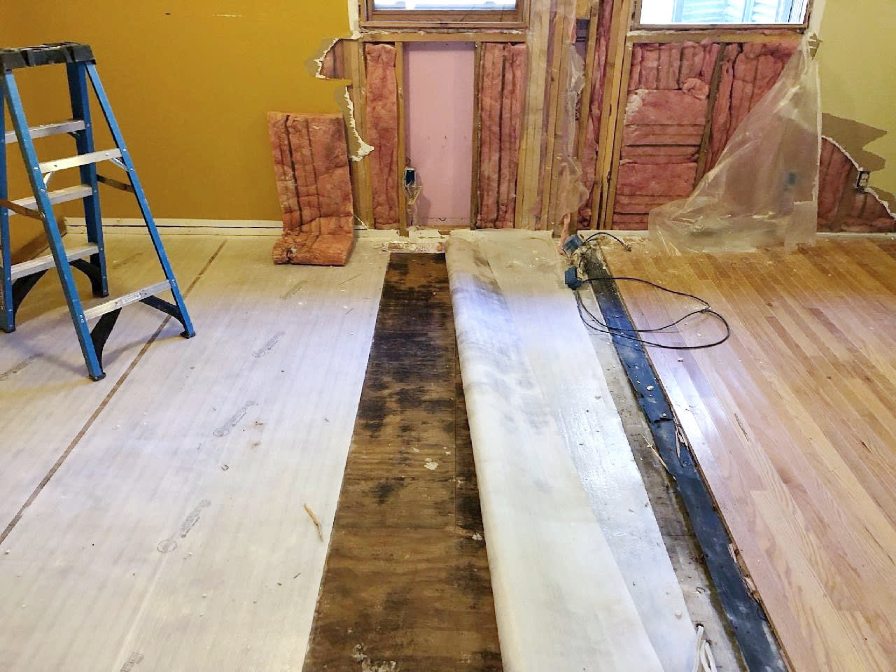 Mold on subfloor mold removal Tennessee